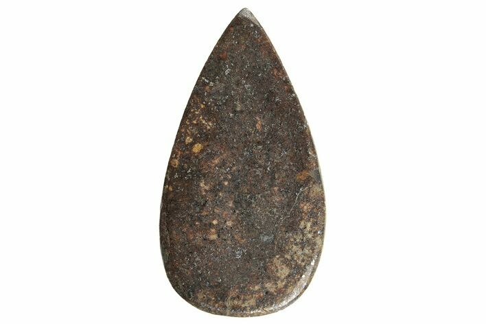 Stony Chondrite Cabochon ( grams) - Meteorite #238188
